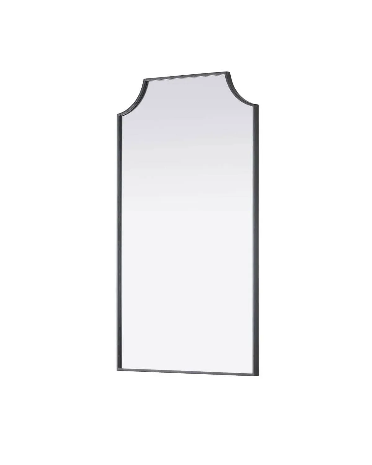 Elegant Lighting Black Rectangle Wall Mirror 24"W x 42"H New thumbnail 2