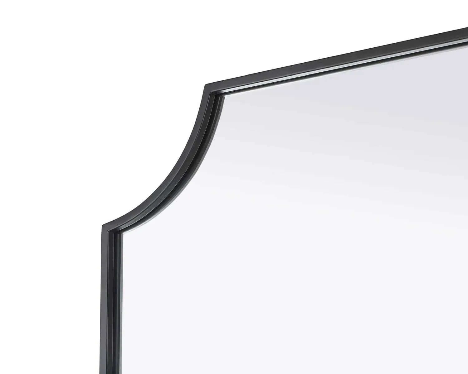 Elegant Lighting Black Rectangle Wall Mirror 24"W x 42"H New thumbnail 3